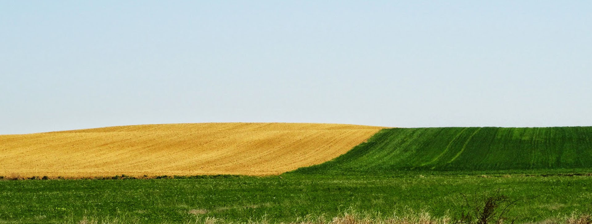 Ingeniero Agrónomo
en Jaén