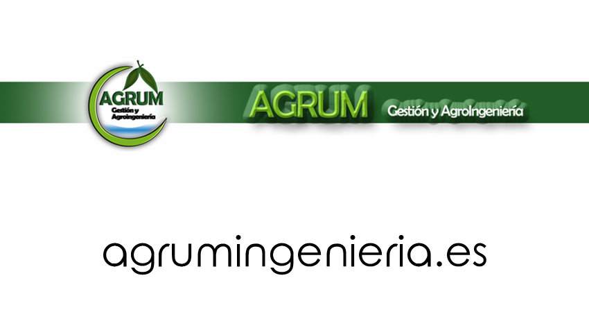 agrumingenieria.es