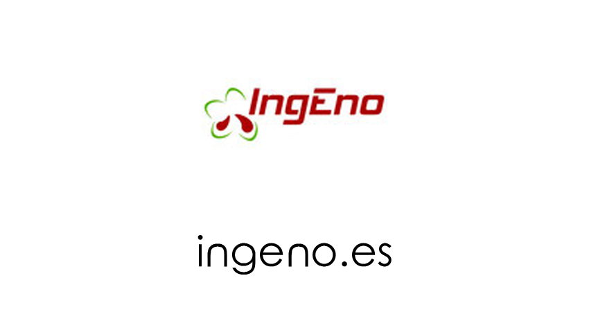 ingeno.es